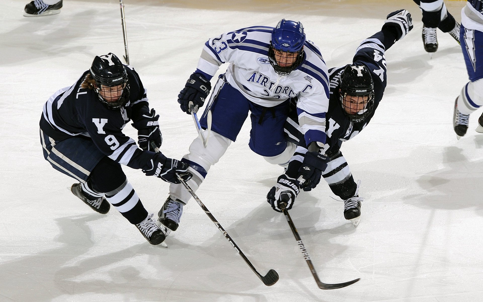 全国青少年风帆赛在厦门水域精彩纷呈，风帆比赛规则