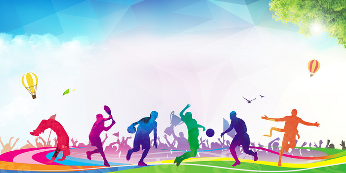 开云全站下载-中国篮球职业俱乐部财务风险预警机制研究，篮球俱乐部账务处理