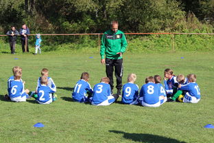 开云综合服务-非洲足球：新兴力量崛起背后的秘密，但非洲足球依然前景难料